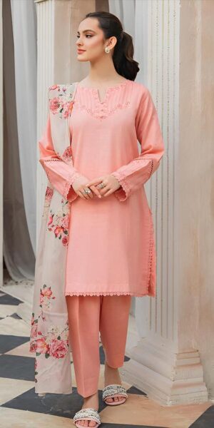 17 (2) ZIVA Lawn Embroidered Patches 3pcs Suit